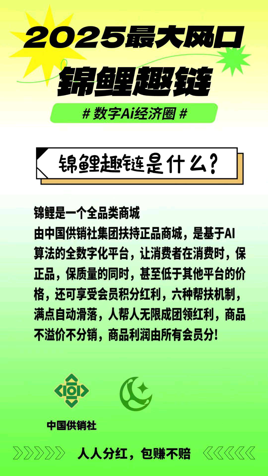 锦鲤趣链 100元永久分红，拼团后每天都有收益