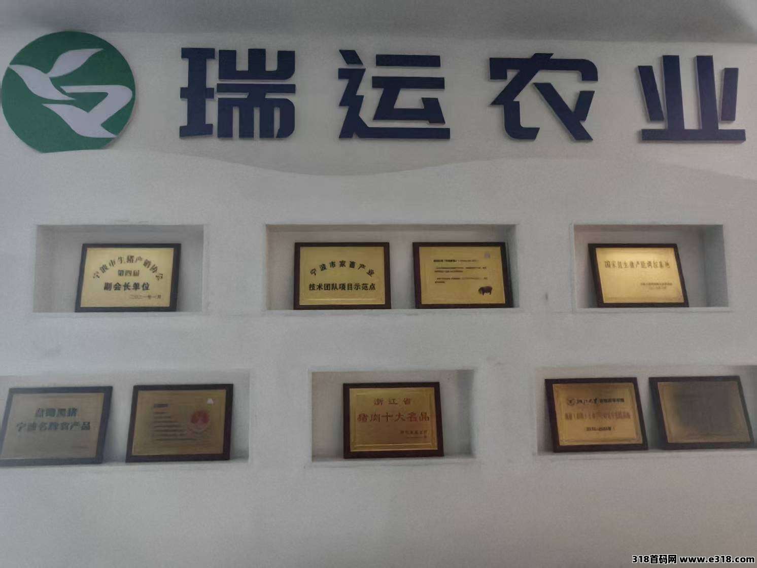 瑞运妖塔招募团长