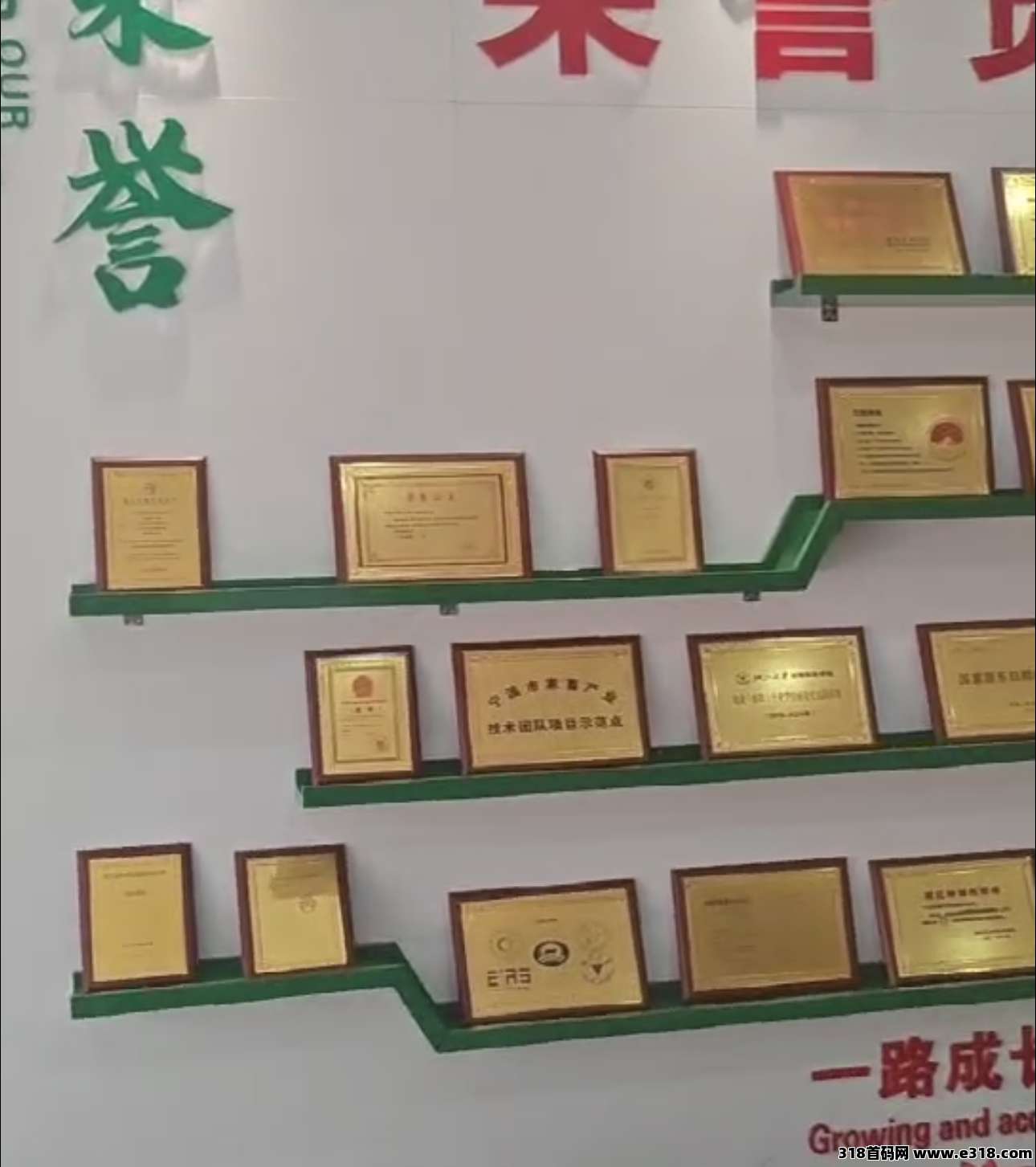 瑞运妖塔招募团长