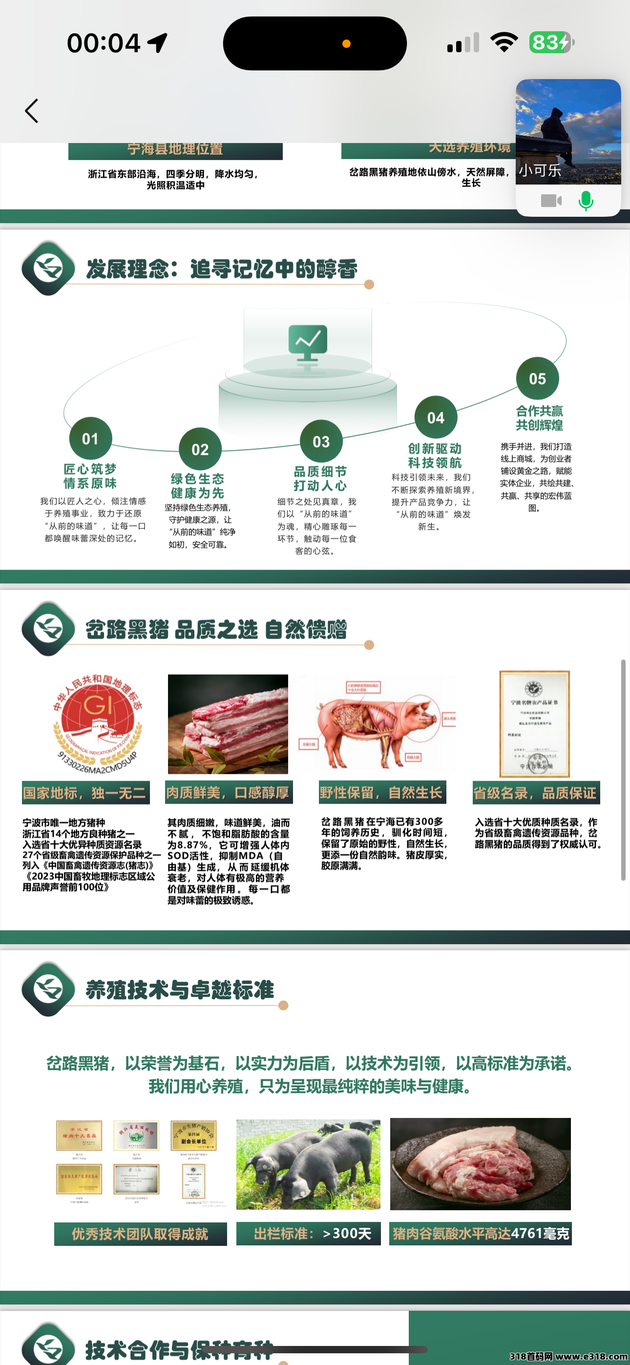 瑞运妖塔招募团长