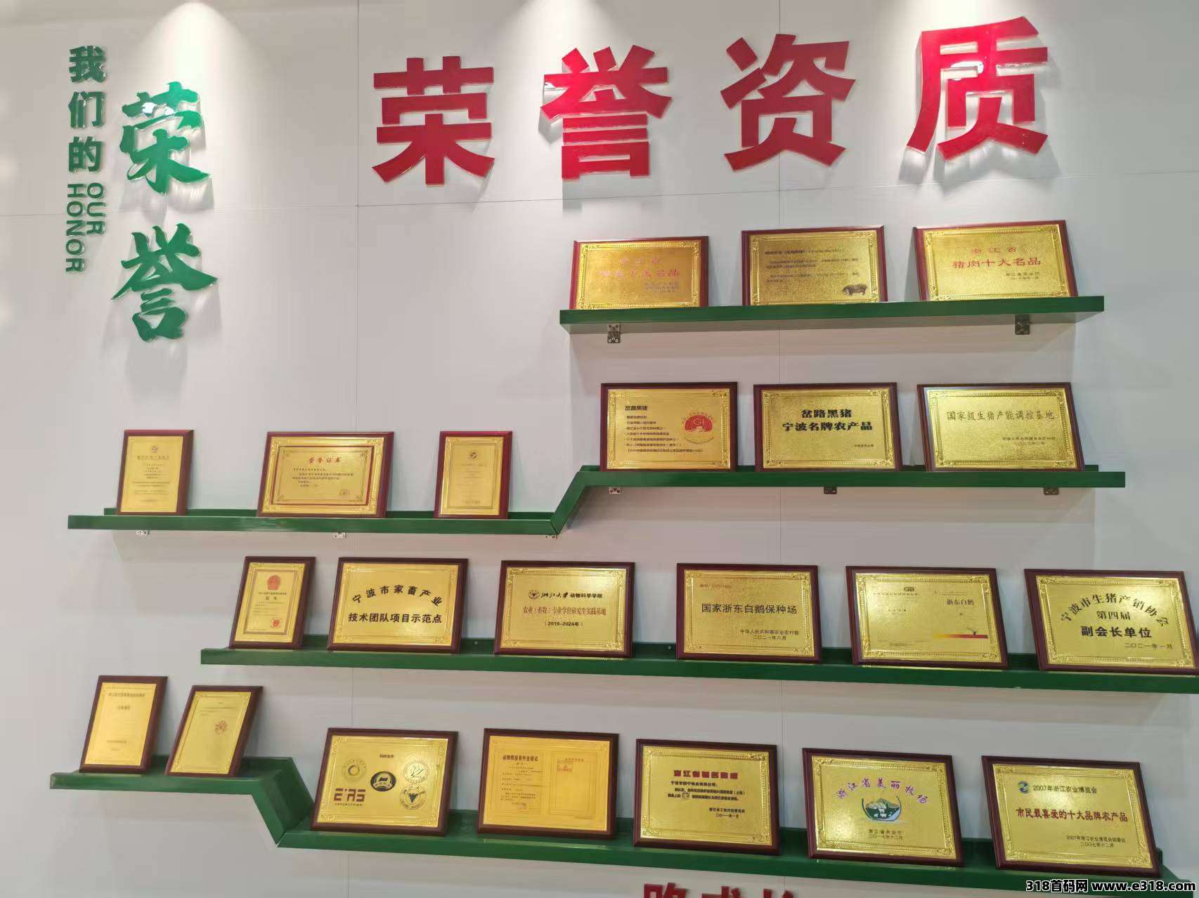 瑞运妖塔招募团长