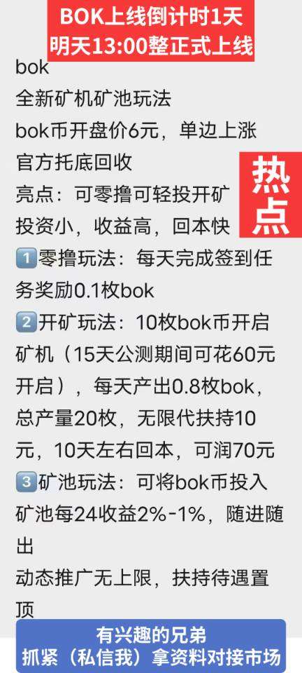 首码BOK，对接扶持团队
