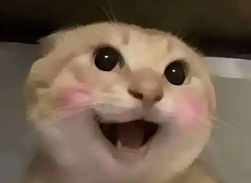 中文Meme大乱斗:谁将首个登陆Binance主站? 中文Meme大乱斗:谁将首个登陆Binance主站?